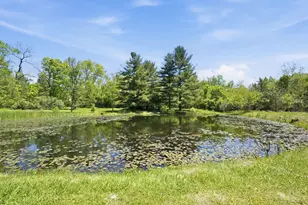 3620 Old Winchester Trail, Caesarscreek Twp, OH 45385 - Photo 40