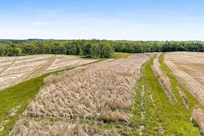 8598 W Deadfall Road, Hillsboro, OH 45133 - Photo 26