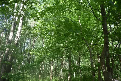 0 State Route 247, Hillsboro, OH 45133 - Photo 10