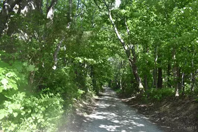 0 State Route 247, Hillsboro, OH 45133 - Photo 4