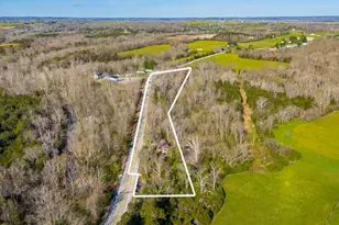 10000 State Route 73, Franklin Twp, OH 45660 - Photo 60
