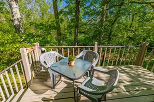 10000 State Route 73, Franklin Twp, OH 45660 - Photo 56
