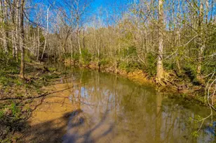 10000 State Route 73, Franklin Twp, OH 45660 - Photo 70
