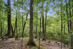 11768 Gable Glen Ln, Cincinnati, OH 45249 - Photo 48
