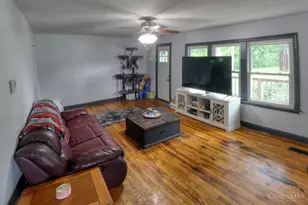 432 Kenwood Ave, Pleasant Township, OH 45121 - Photo 4