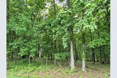 1393 Texas, Jackson Township, OH 45171 - Photo 2
