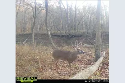 19684 St Rt 41, Oliver Township, OH 45660 - Photo 30