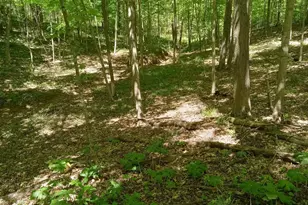 11583 Sinking Spring Rd, Hillsboro, OH 45133 - Photo 1
