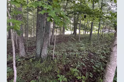 11583 Sinking Spring Road, Brushcreek Township, OH 45133 - Photo 18