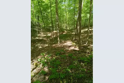 11583 Sinking Spring Road, Brushcreek Township, OH 45133 - Photo 6