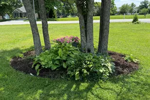 685 Waynoka Dr, Sardinia, OH 45171 - Photo 36