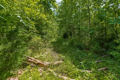 745 Coon Hollow Road, Blue Creek, OH 45616 - Photo 18