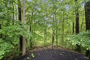 5138 Chukker Point Ln, Union Township, OH 45244 - Photo 64