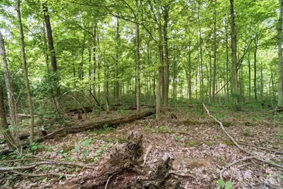 0 Wolfpen Pleasant Hill Road, Miami Township, OH 45150 - Photo 8