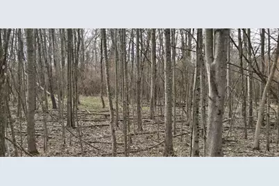 506 Cherry Street, Blanchester, OH 45107 - Photo 4