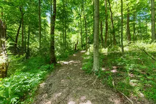 370 Wooded Run Rd, Franklin Township, OH 45120 - Photo 30