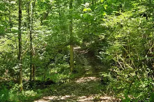 370 Wooded Run Rd, Franklin Township, OH 45120 - Photo 34
