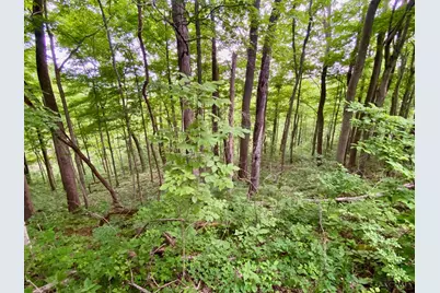 85 Pfeifer Road, Manchester, OH 45144 - Photo 1