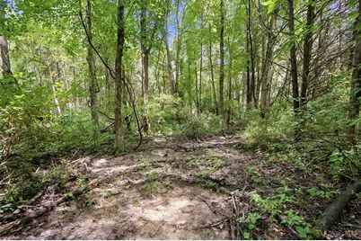 6654 Osceola Road, Harlan Township, OH 45152 - Photo 54