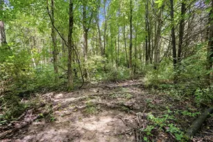 6654 Osceola Rd, Harlan Township, OH 45152 - Photo 54