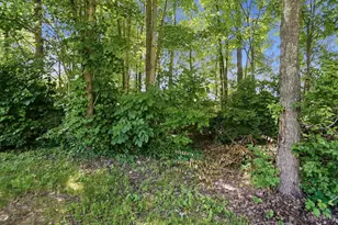 6020 Marsh Cir, Goshen, OH 45140 - Photo 60