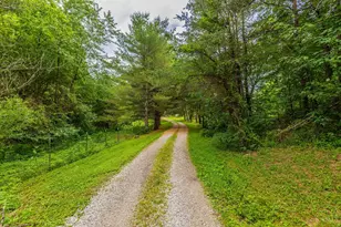 1237 Black Hollow Rd, Peebles, OH 45660 - Photo 4