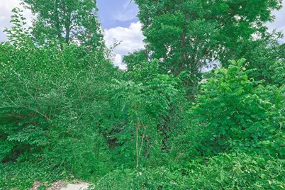 6738 Hampton Drive, Silverton, OH 45236 - Photo 28