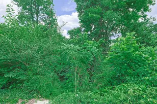 6738 Hampton Dr, Silverton, OH 45236 - Photo 28