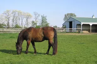 1862 E Fosters Maineville Rd, Hamilton Township, OH 45152 - Photo 50