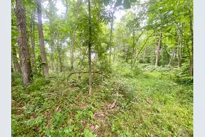400 Lynn Morgan Road, Seaman, OH 45679 - Photo 8