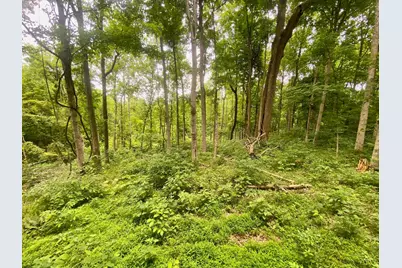 400 Lynn Morgan Road, Seaman, OH 45679 - Photo 10