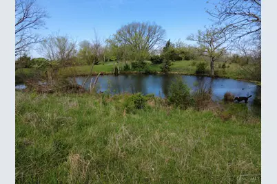 9951 Fishing Gut Road, Huntington Township, OH 45144 - Photo 30
