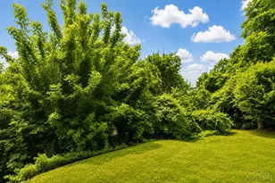 1003 Hill St, Cincinnati, OH 45202 - Photo 40