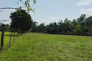 0 Fagins Run Rd, Pierce Township, OH 45157 - Photo 8