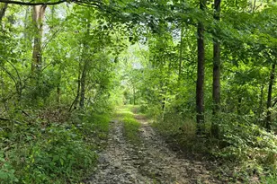 0 Fagins Run Rd, Pierce Township, OH 45157 - Photo 12