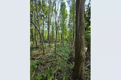 0 Fagins Run Road, Pierce Township, OH 45157 - Photo 6