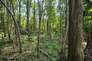 0 Fagins Run Rd, Pierce Township, OH 45157 - Photo 6