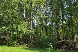 0 Fagins Run Rd, Pierce Township, OH 45157 - Photo 4