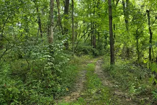 0 Fagins Run Rd, Pierce Township, OH 45157 - Photo 10