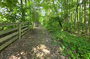 0 Fagins Run Rd, Pierce Township, OH 45157 - Photo 6