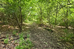 0 Fagins Run Rd, Pierce Township, OH 45157 - Photo 8
