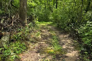 0 Fagins Run Rd, Pierce Township, OH 45157 - Photo 16