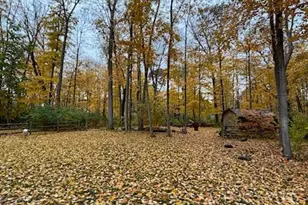 11257 Marlette Dr, Sycamore Township, OH 45249 - Photo 6