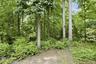 5317 Hickory Trail Ln, Blue Ash, OH 45242 - Photo 40