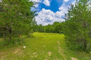 252 Bradley Ln, West Union, OH 45693 - Photo 14