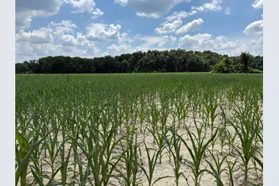 0 Route 350, Washington Township, OH 45113 - Photo 2