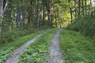 1702 Robinson Hollow Rd, Liberty Twp, OH 45693 - Photo 2