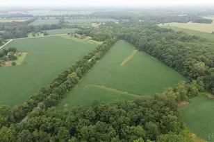 9782 Morrow-Woodville Rd, Harlan Township, OH 45162 - Photo 22