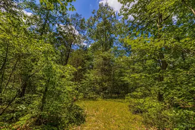 0 Tom Brown Road, Winchester, OH 45697 - Photo 6