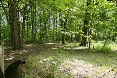 2885 Lindale Mt Holly Road, Monroe Township, OH 45102 - Photo 68